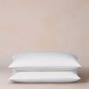 Ritz Carlton Firm Feather & Down Pillow - King Size